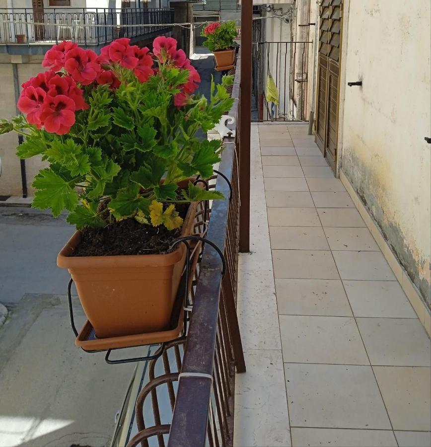 B&B La Casa Dell'Ospite กราวีนา อิน ปูเลีย ภายนอก รูปภาพ